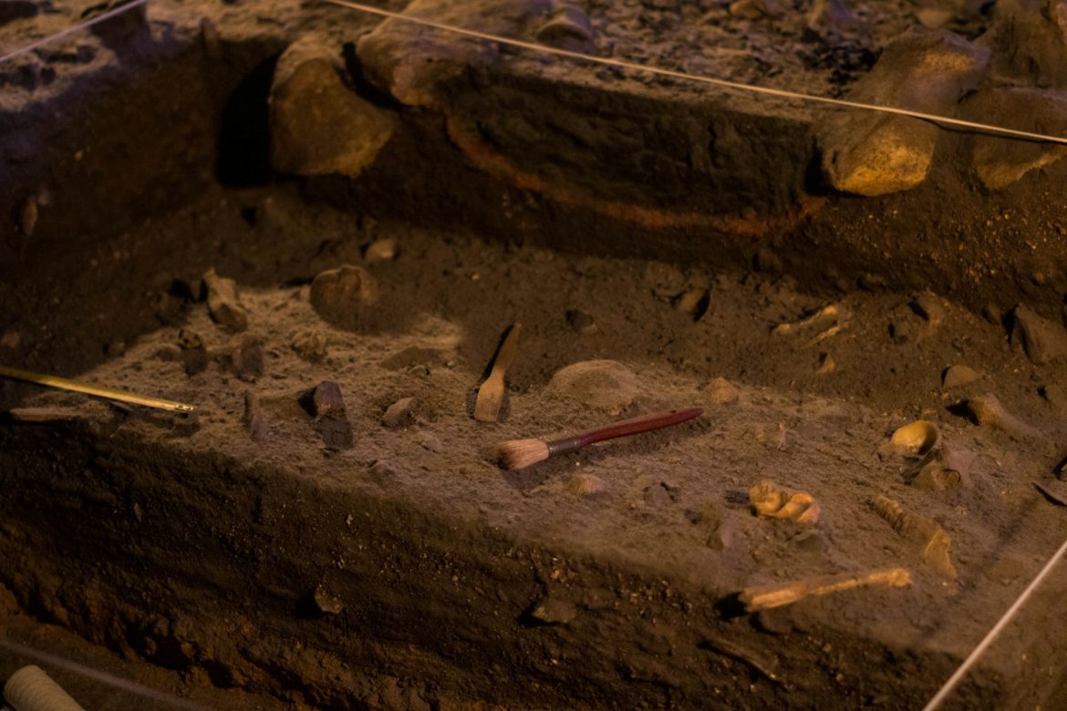 Przełomowe odkrycie w Polsce rzuca nowe światło na życie neandertalczyków